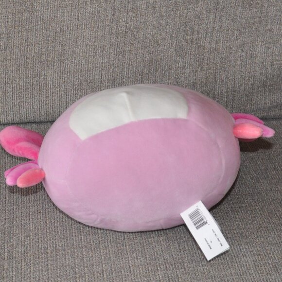 NWT New Sea Life New 8" Squishmallow Cailey the Crab Pink Plush - Picture 5 of 6